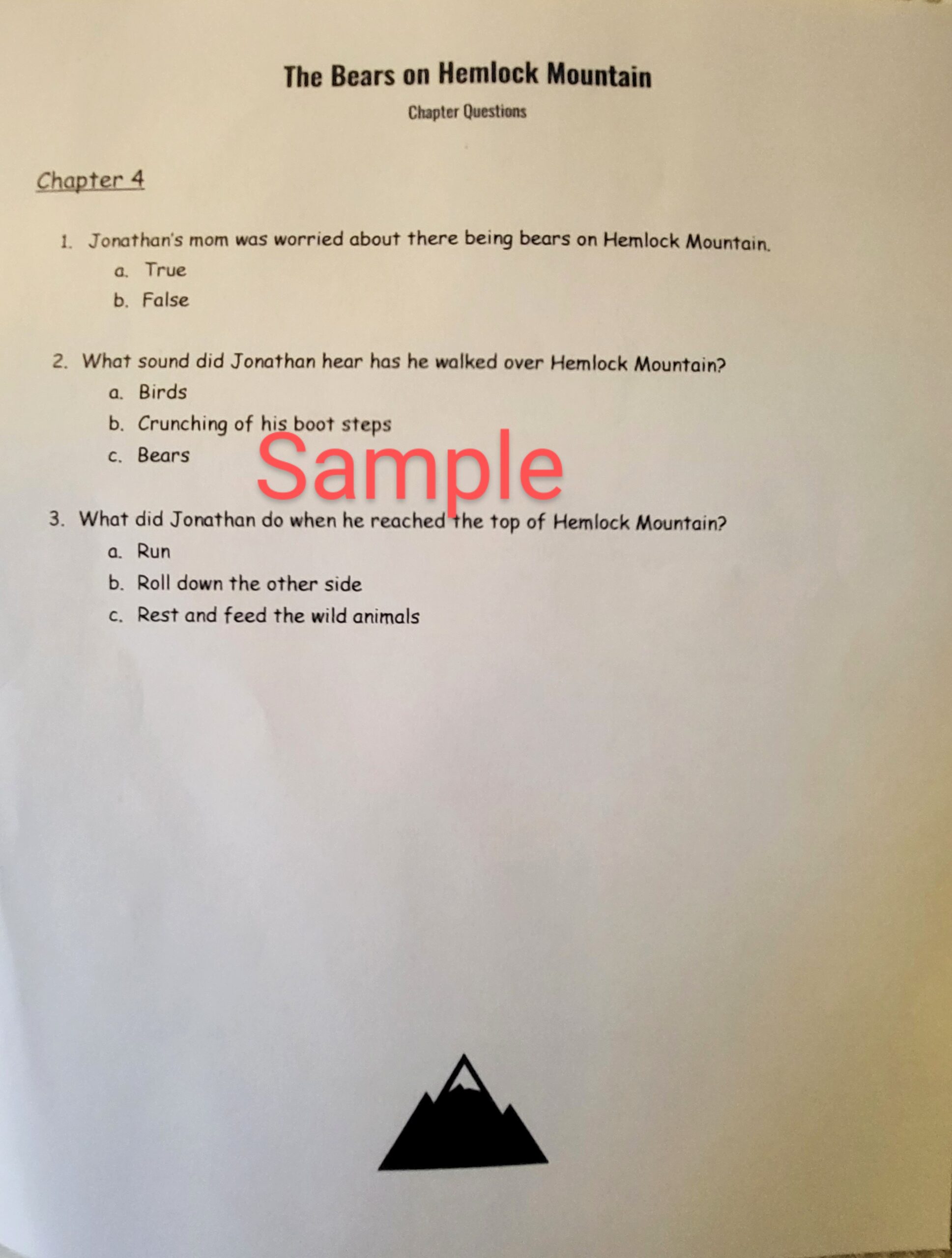 A sample of The Bears on Hemlock Mountain Chapter Questions