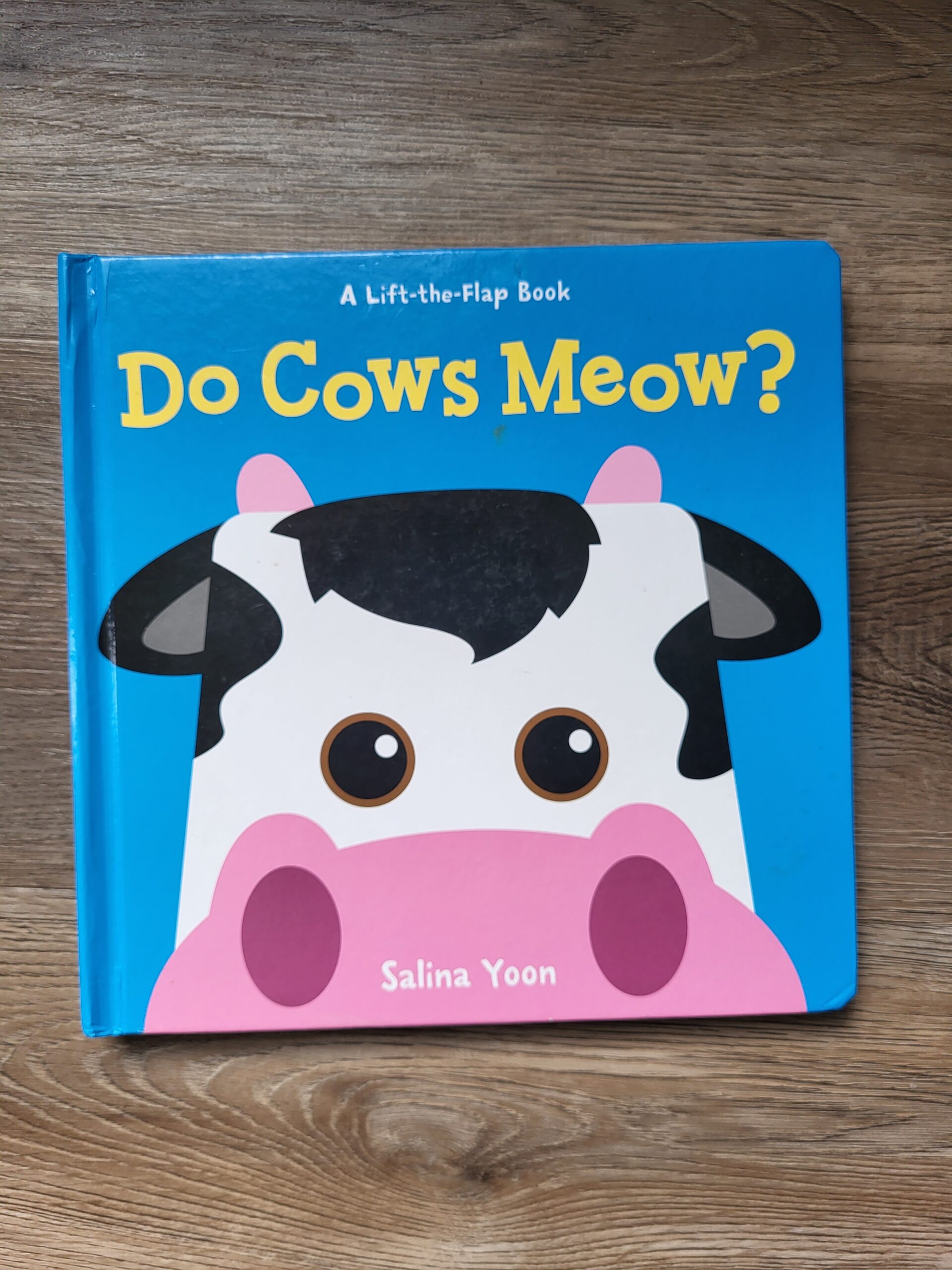 One of the 10 best interactive board books for toddlers.