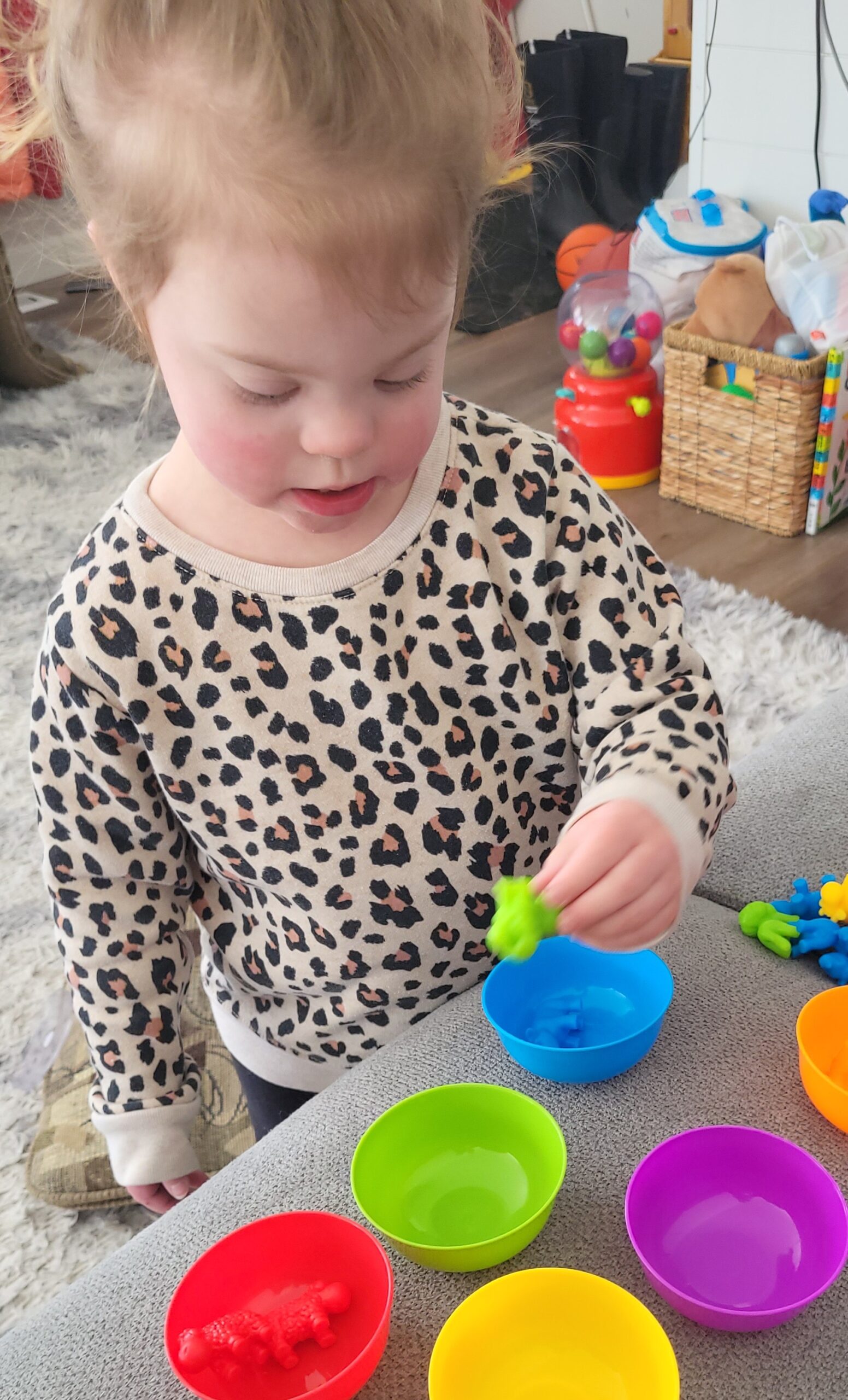 A Favorite Color Learning Toy for Toddlers